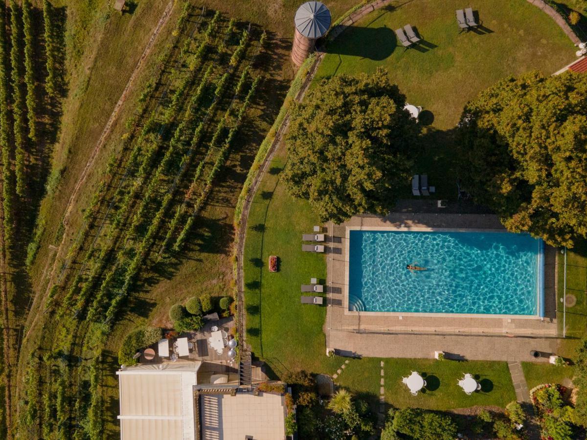 Chateau D'Isenbourg & Spa Rouffach Εξωτερικό φωτογραφία