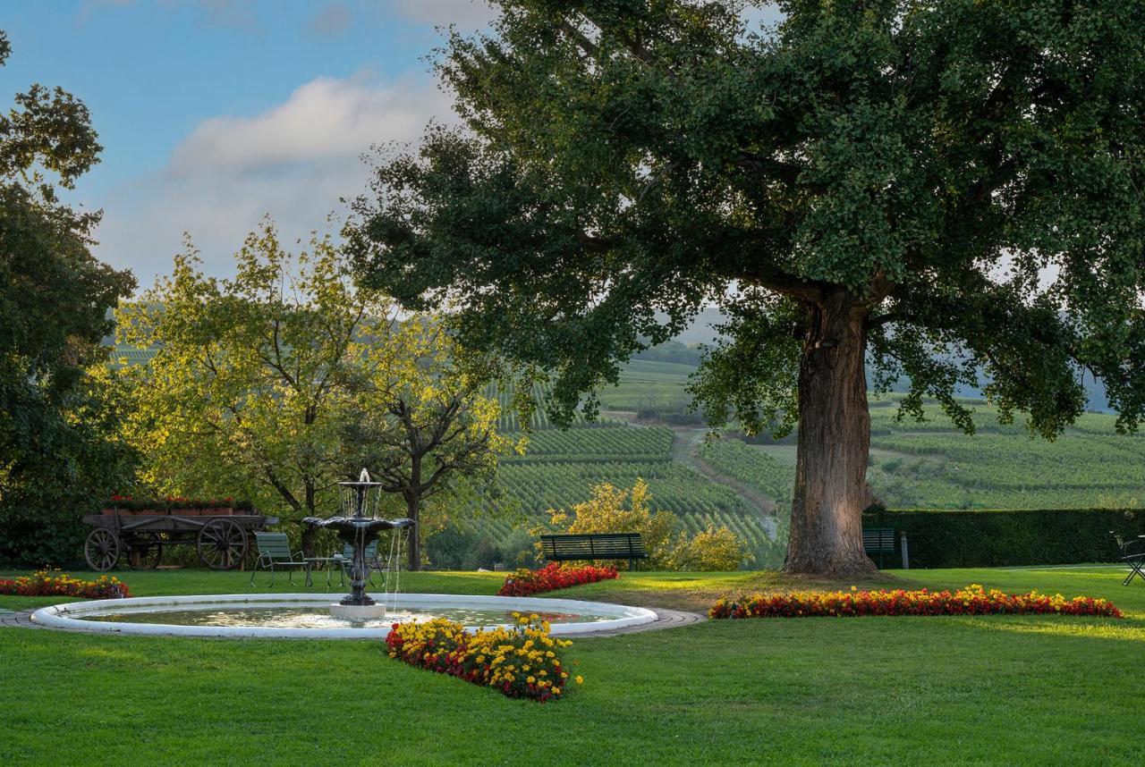 Chateau D'Isenbourg & Spa Rouffach Εξωτερικό φωτογραφία
