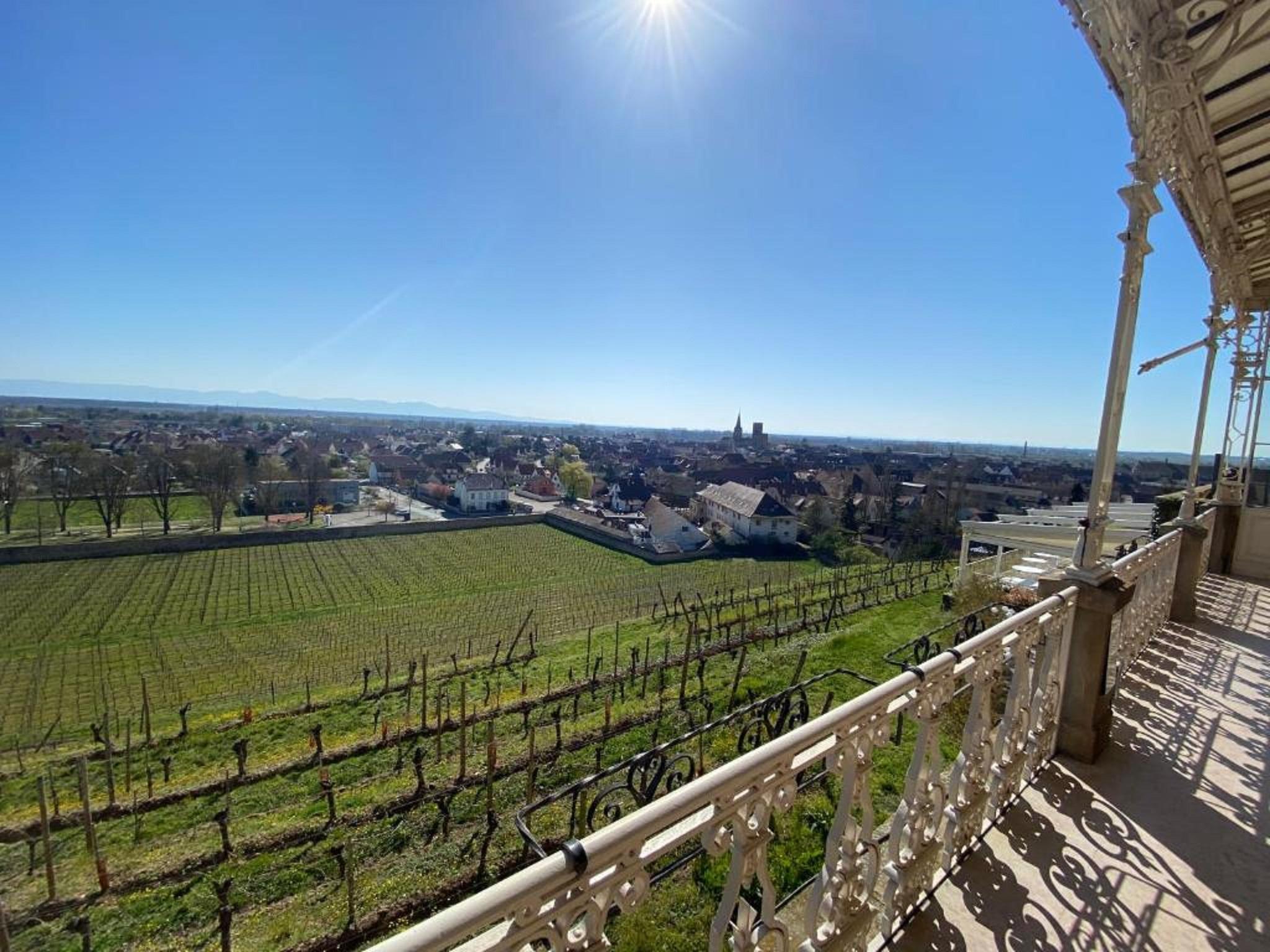 Chateau D'Isenbourg & Spa Rouffach Εξωτερικό φωτογραφία