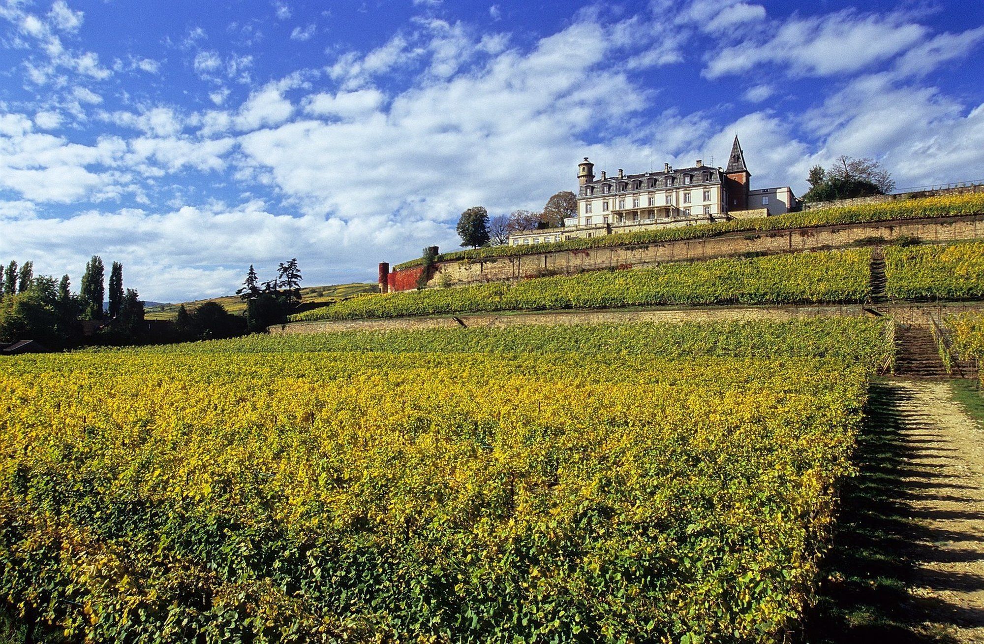 Chateau D'Isenbourg & Spa Rouffach Εξωτερικό φωτογραφία